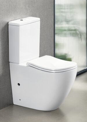ErgoFlow Curve67 Ergonomic Rimless Tornado Back To Wall Toilet