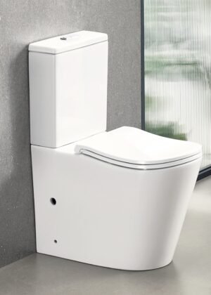 ErgoFlow Edge67 Ergonomic Rimless Tornado Back to Wall Toilet