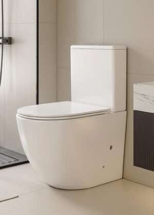 Max66 Rimless Tornado Back To Wall Toilet