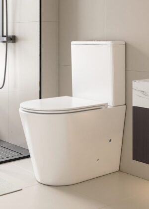 Yara67 Ambulant Rimless Tornado Back to Wall Toilet